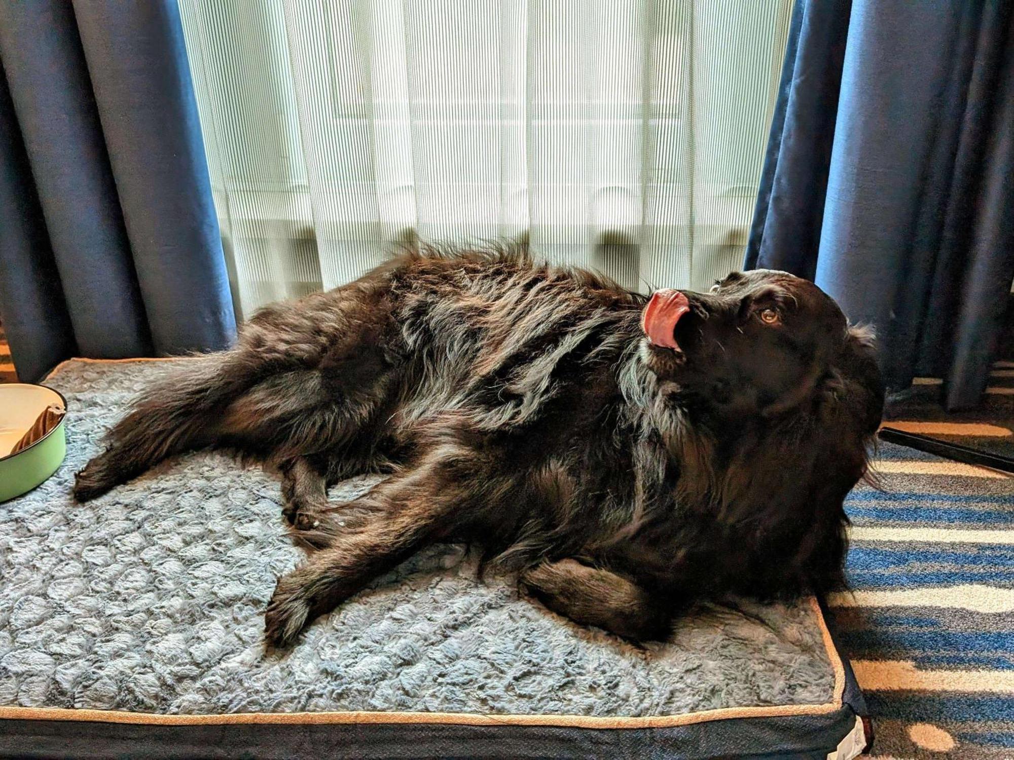 Mercure Mitte Hamborg