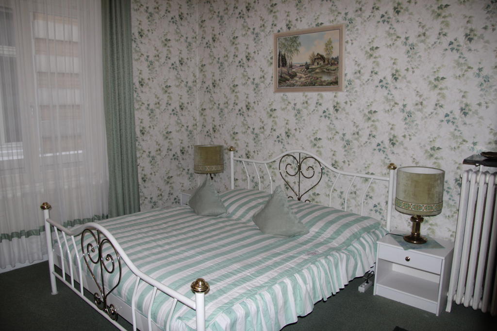 Hotel Hotel-fink *