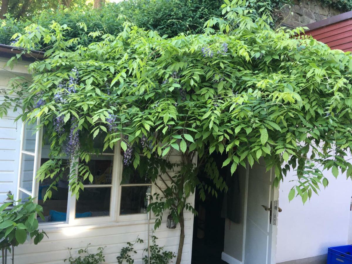 Ferienhaus Fischerhaus Am Blankeneser Elbhang *